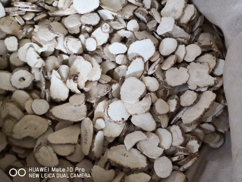 白芷无硫干货散装量大从优产地直销各种规格