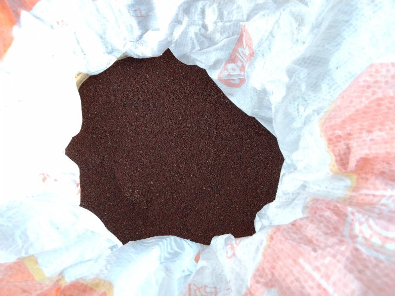精品儿菜种子要的赶紧啦数量不多了