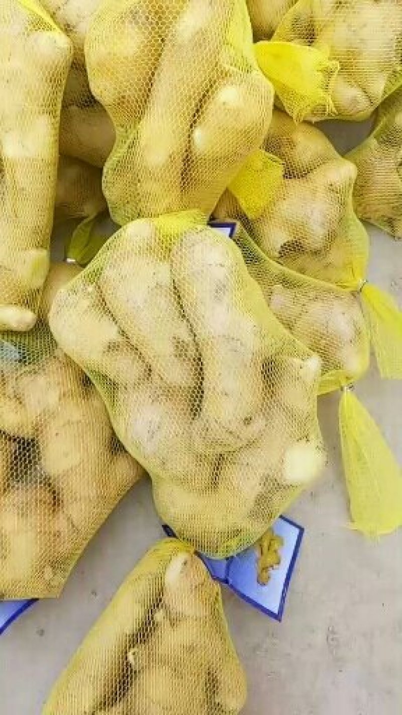 精品*大黄姜*小黄姜*品质保证*产地发货