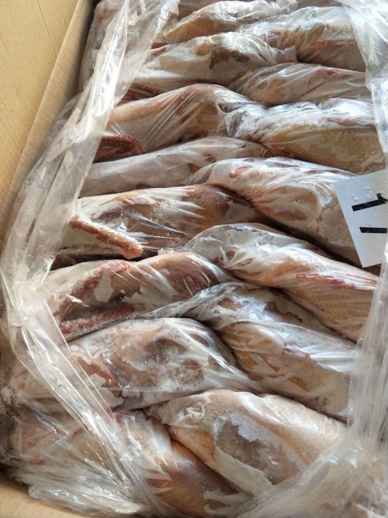 鸭，白条老鸭火锅鸭，卤鸭，酒店专供！老鸭，红头鸭，麻鸭