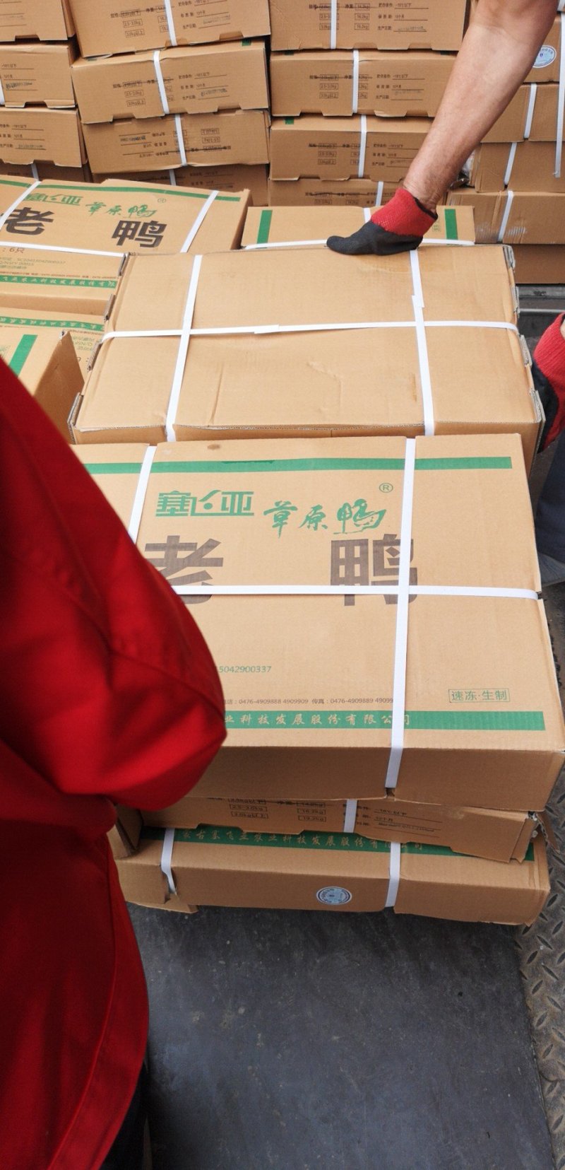 鸭，白条老鸭火锅鸭，卤鸭，酒店专供！老鸭，红头鸭，麻鸭