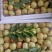 大荔冬枣