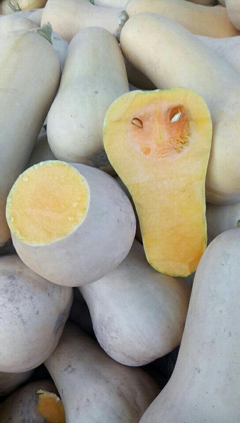 奶油南瓜