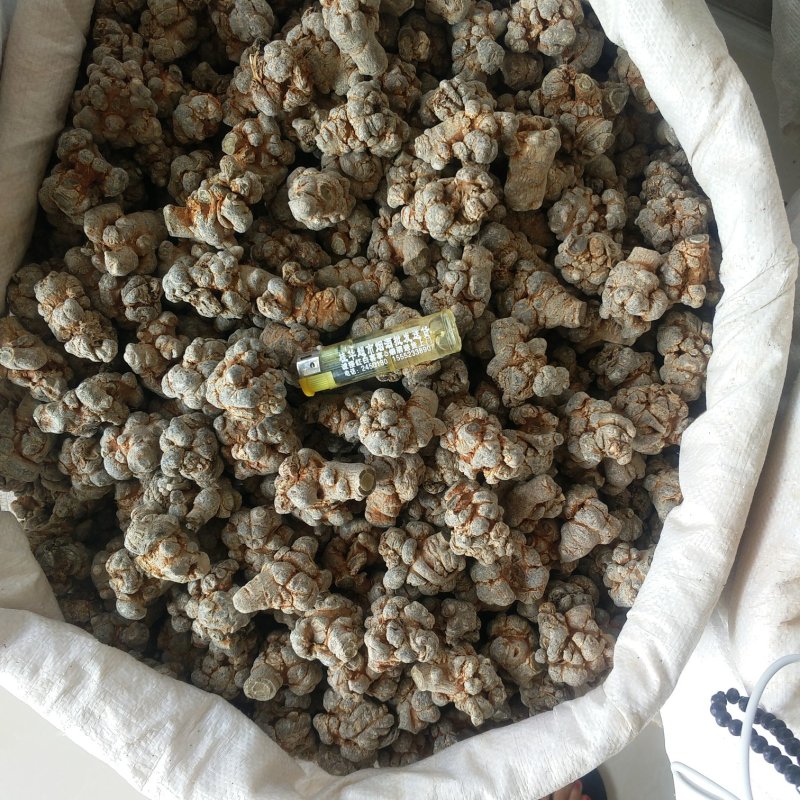 振兴药材批发供应水洗45头三七保质保量常年供应诚信合