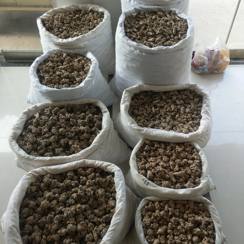 振兴药材批发供应水洗45头三七保质保量常年供应诚信合