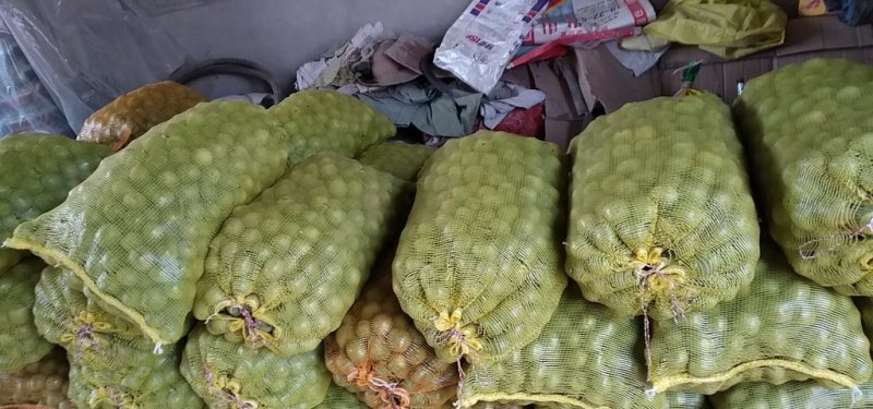 青皮核桃，量大从优，要者联系！欲购从速！！