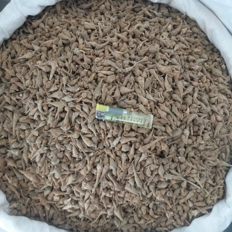 振兴药材批发供应水洗三七芽规格齐全产地直供一手货源全国发货