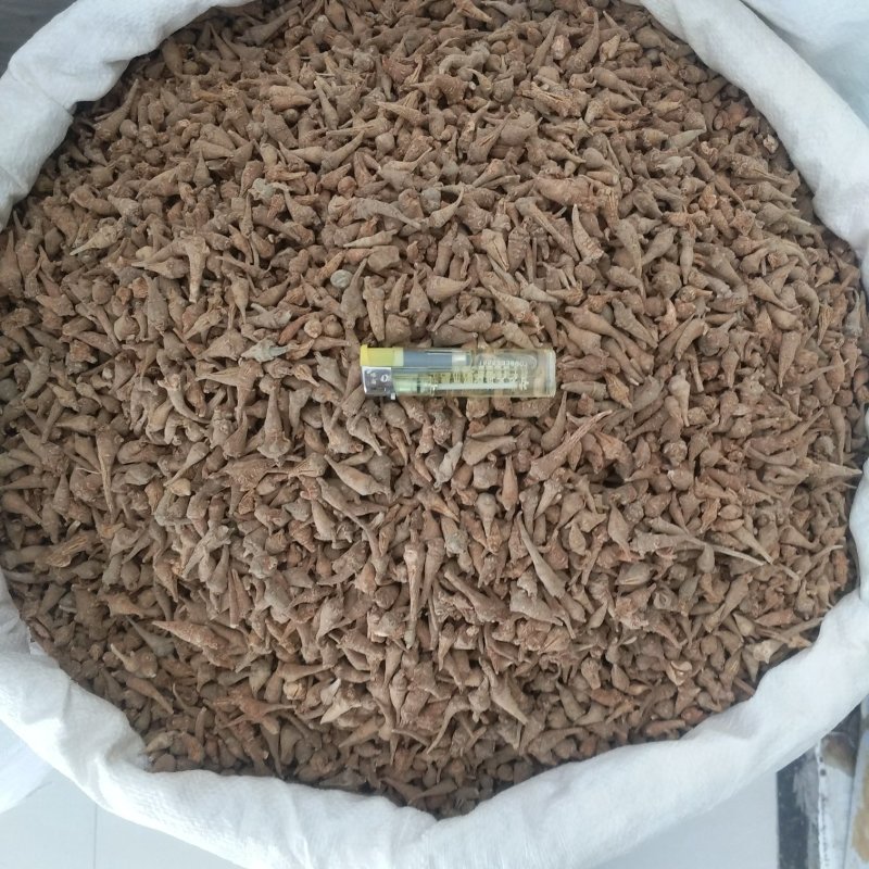 振兴药材批发供应水洗三七芽规格齐全产地直供一手货源全国发货