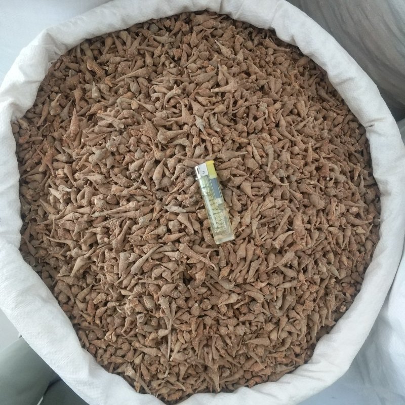 振兴药材批发供应水洗三七芽规格齐全产地直供一手货源全国发货