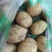 牡丹江精品尤金土豆产地直发规格齐全质量保证欢迎电联