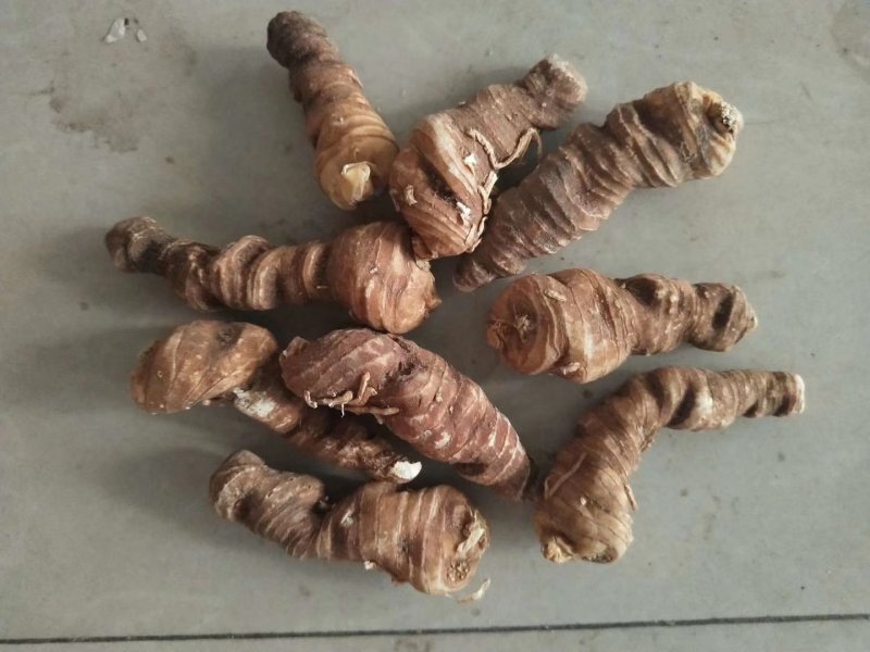 粉质滇重楼，干货批发