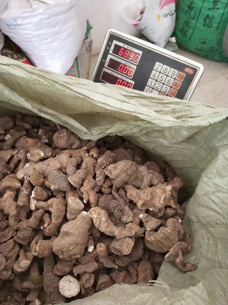 粉质滇重楼，干货批发