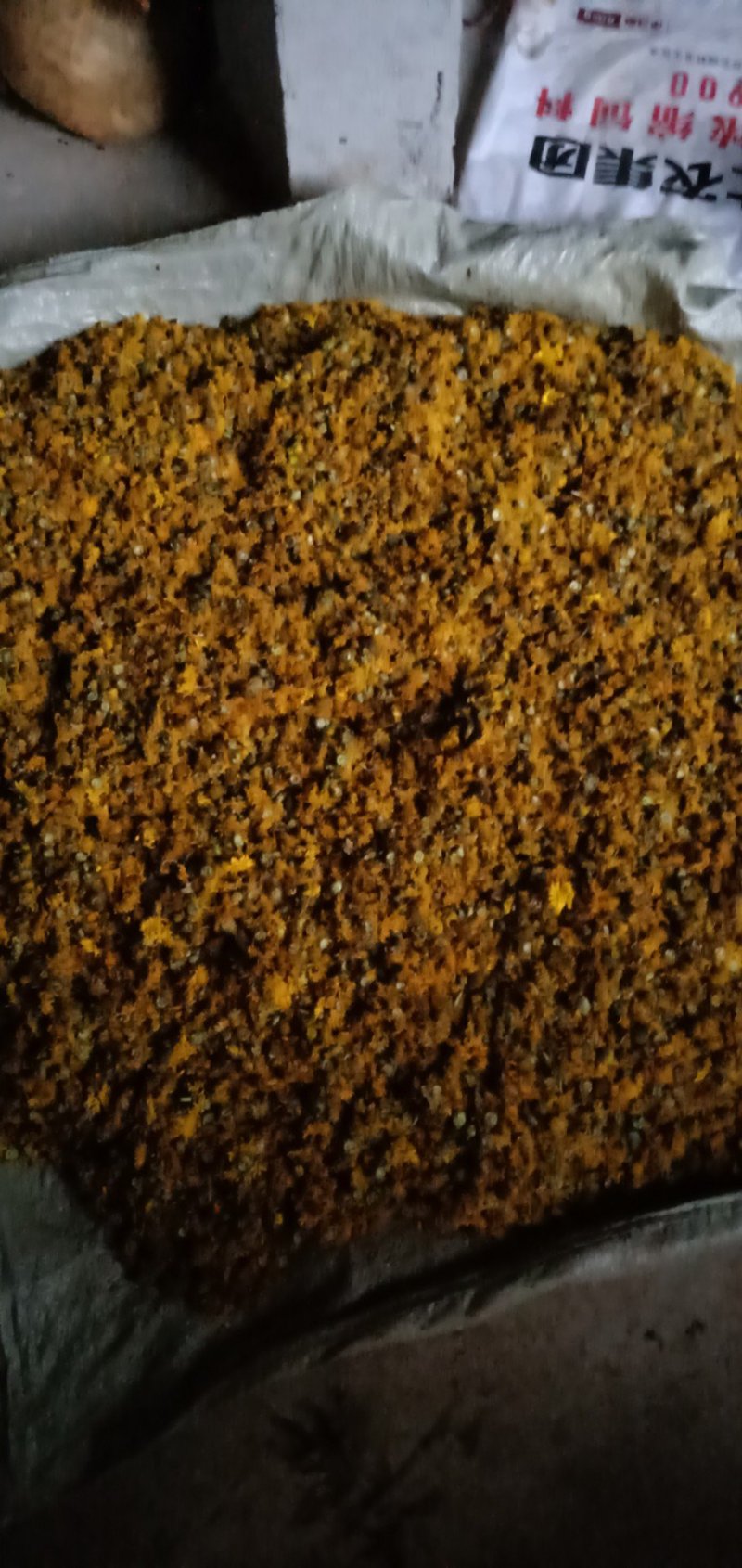 大量野菊花