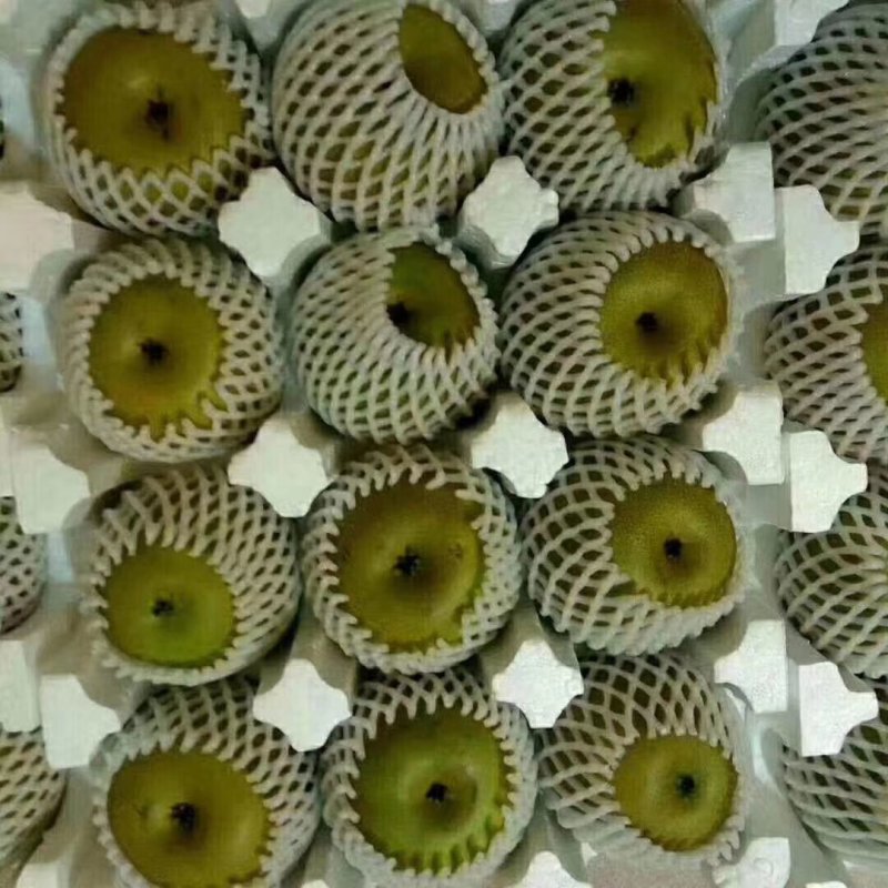 翠冠梨黄花梨3.5两以上