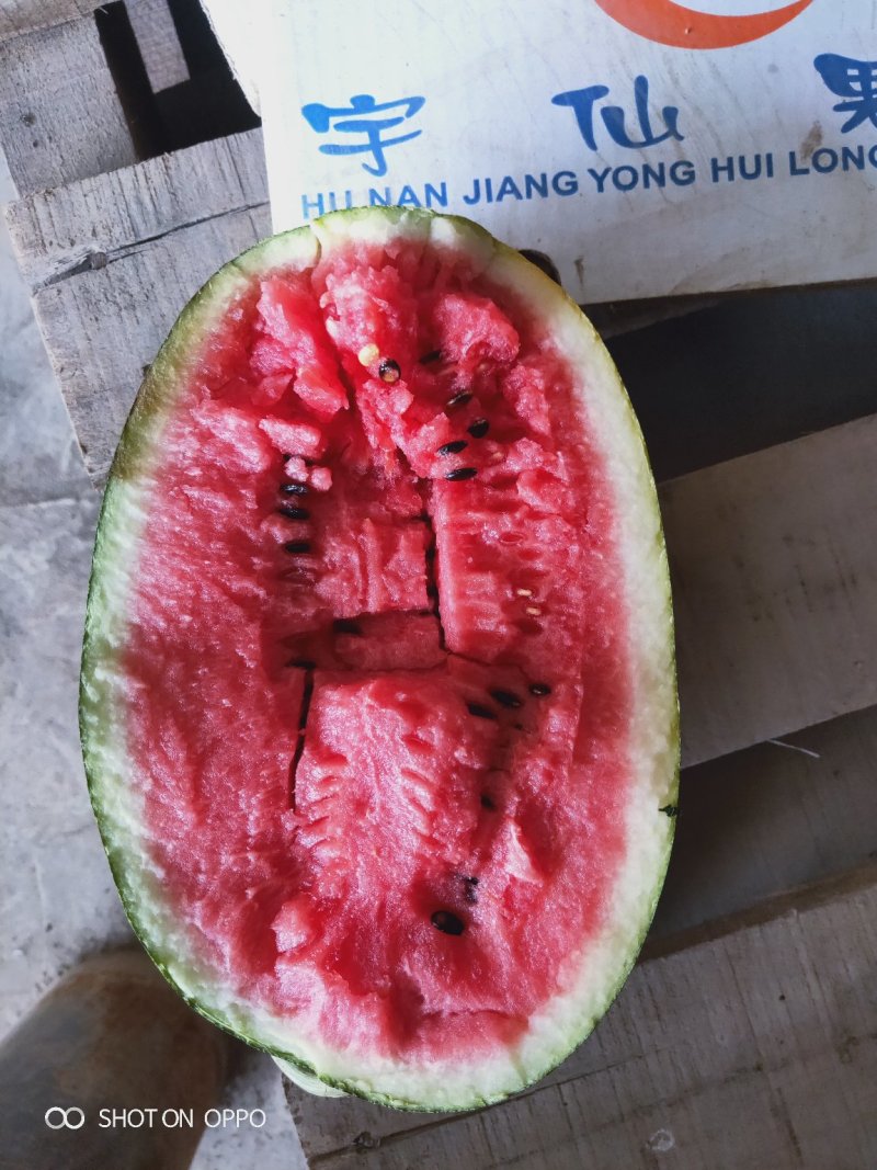 黑美人西瓜6斤打底8成熟1茬，口感好