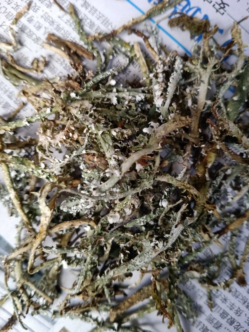 鹿角菜又名石花菜高海拔自然生长野生鹿角菜干菜两斤包邮