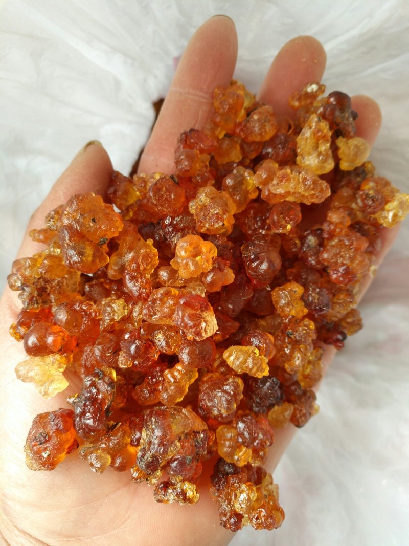 【有好货】桃胶湖北随州产地直发一斤装包邮量大从优