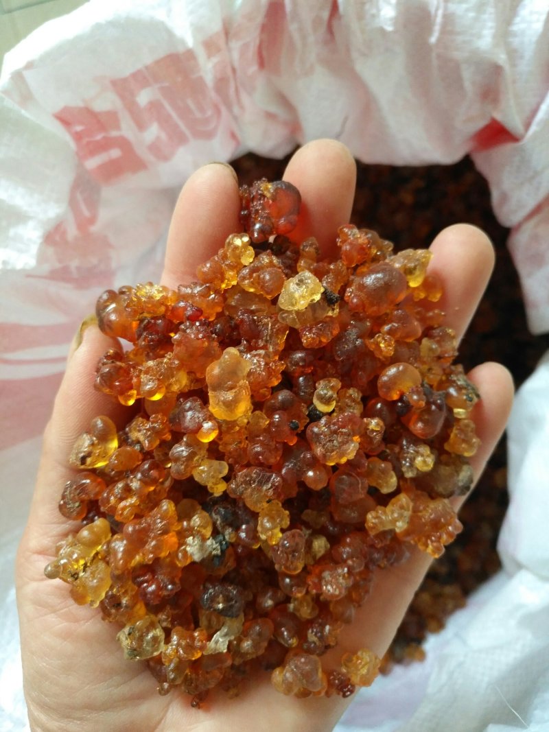【有好货】桃胶湖北随州产地直发一斤装包邮量大从优
