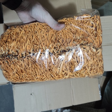 沈阳虫草花排草