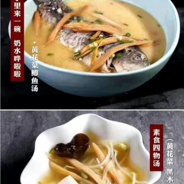 渭南市合阳黄花菜
