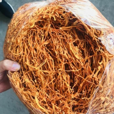 虫草花散草一包2斤