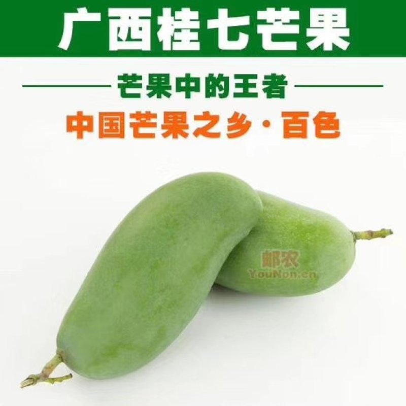 桂七