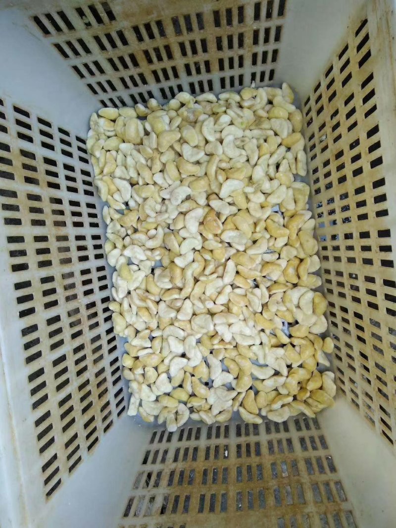 菱角米大别山湖北黄冈蕲春菱角肉老菱角嫩菱角
