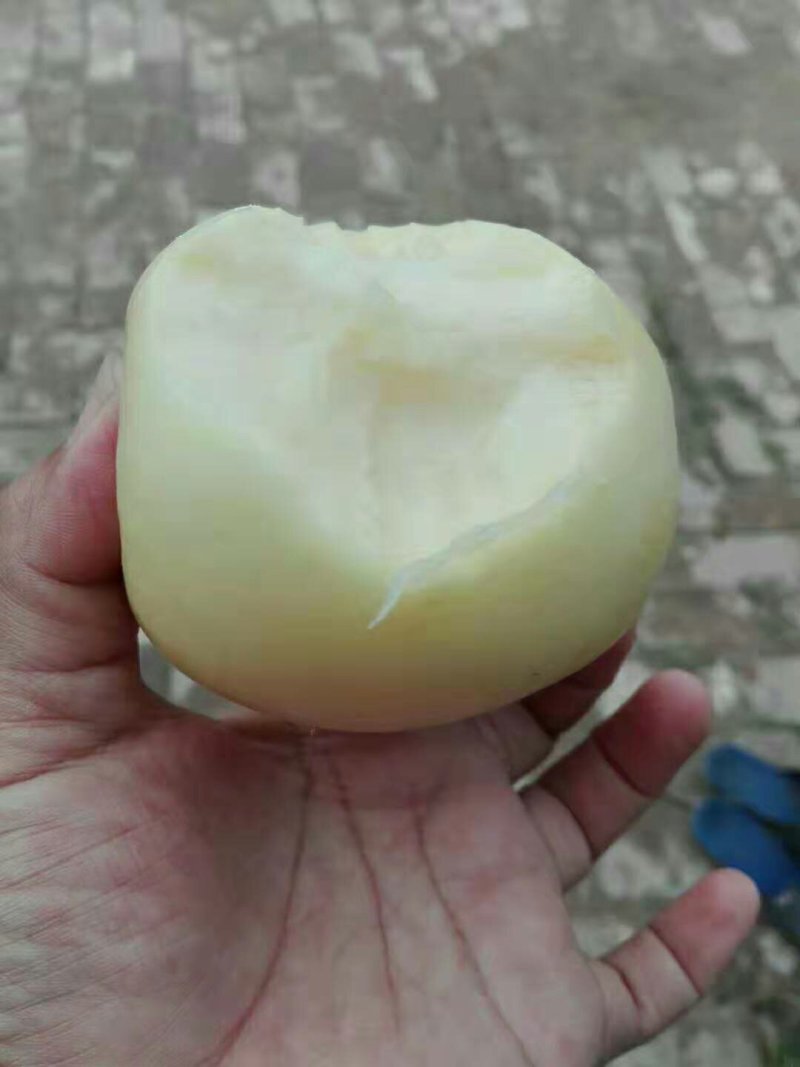 华硕苹果