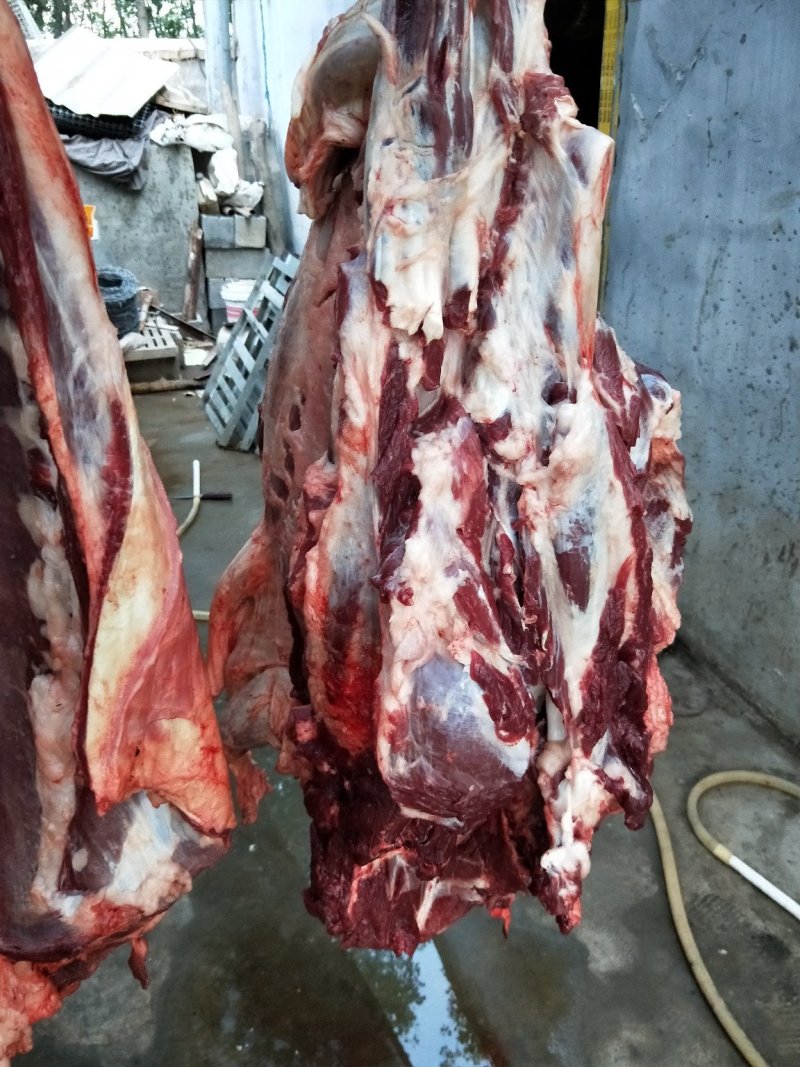 驴肉
