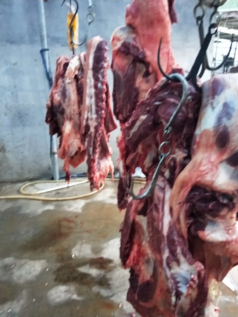驴肉