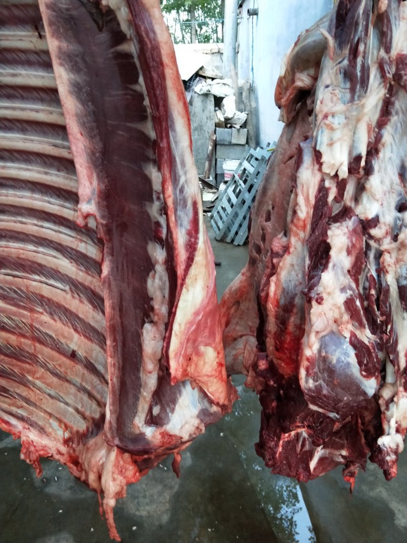 驴肉