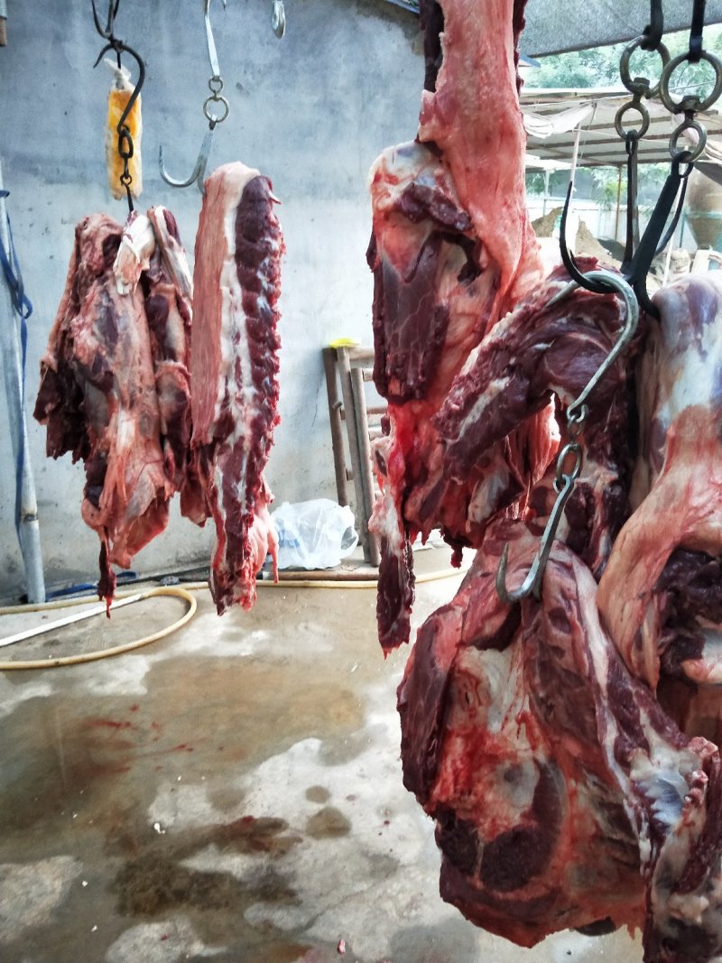 驴肉