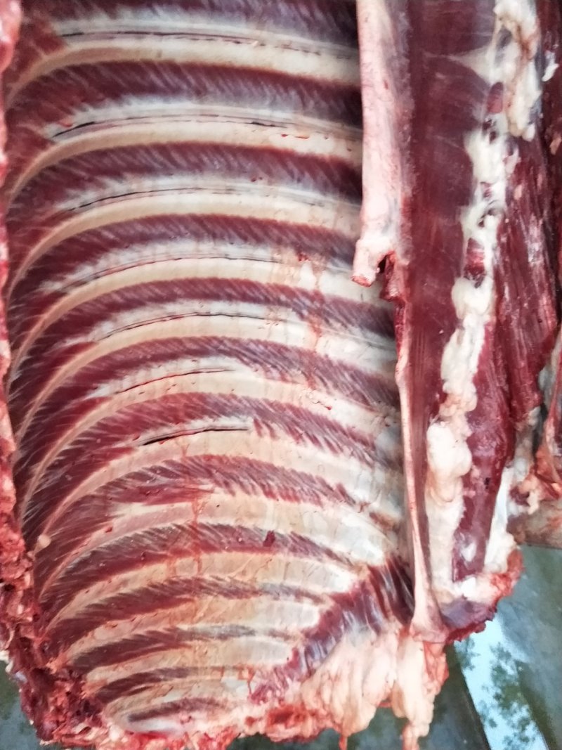 驴肉