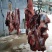 驴肉