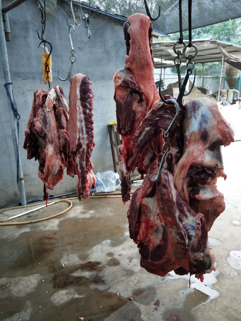 驴肉