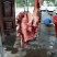 驴肉