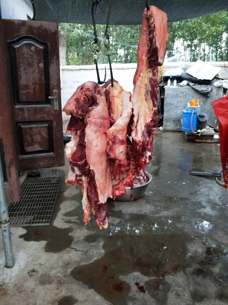 驴肉