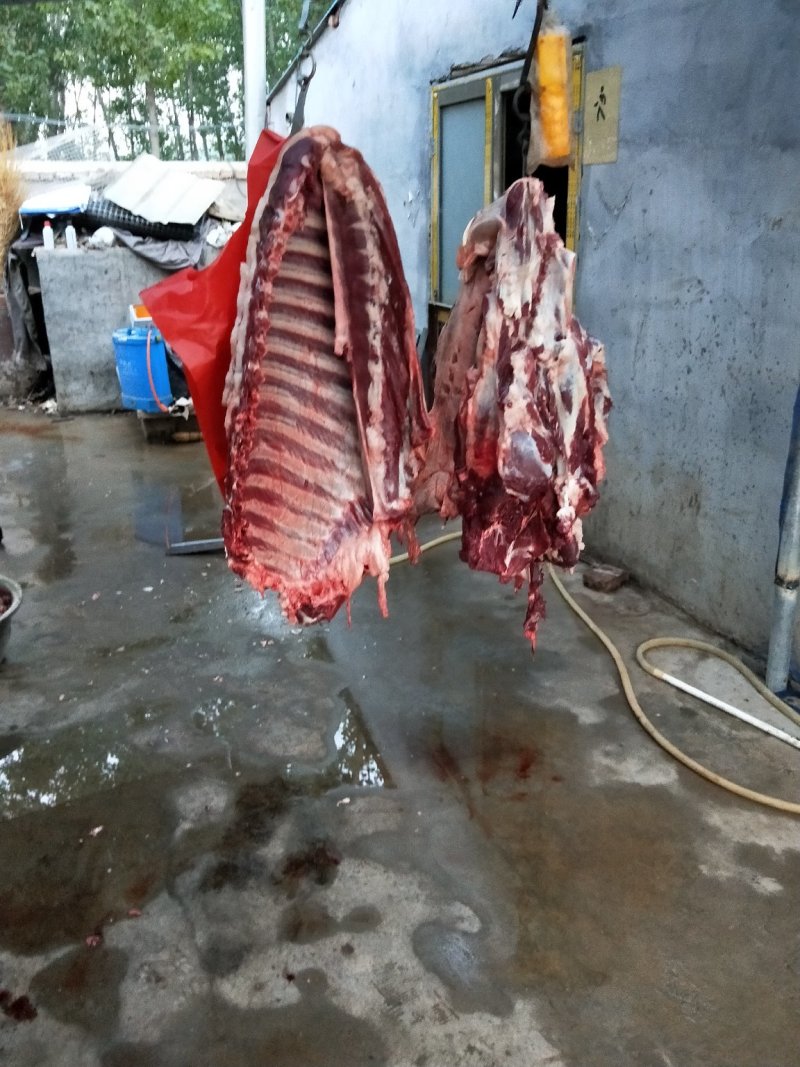 驴肉