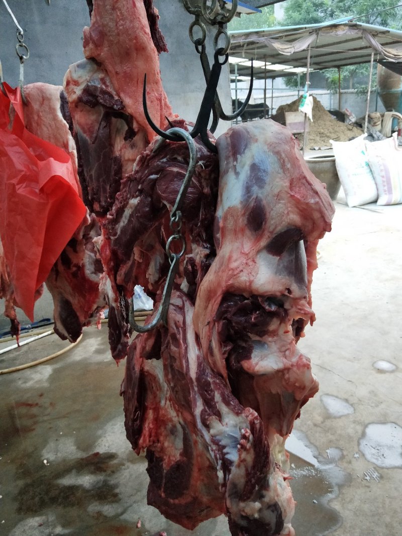 驴肉