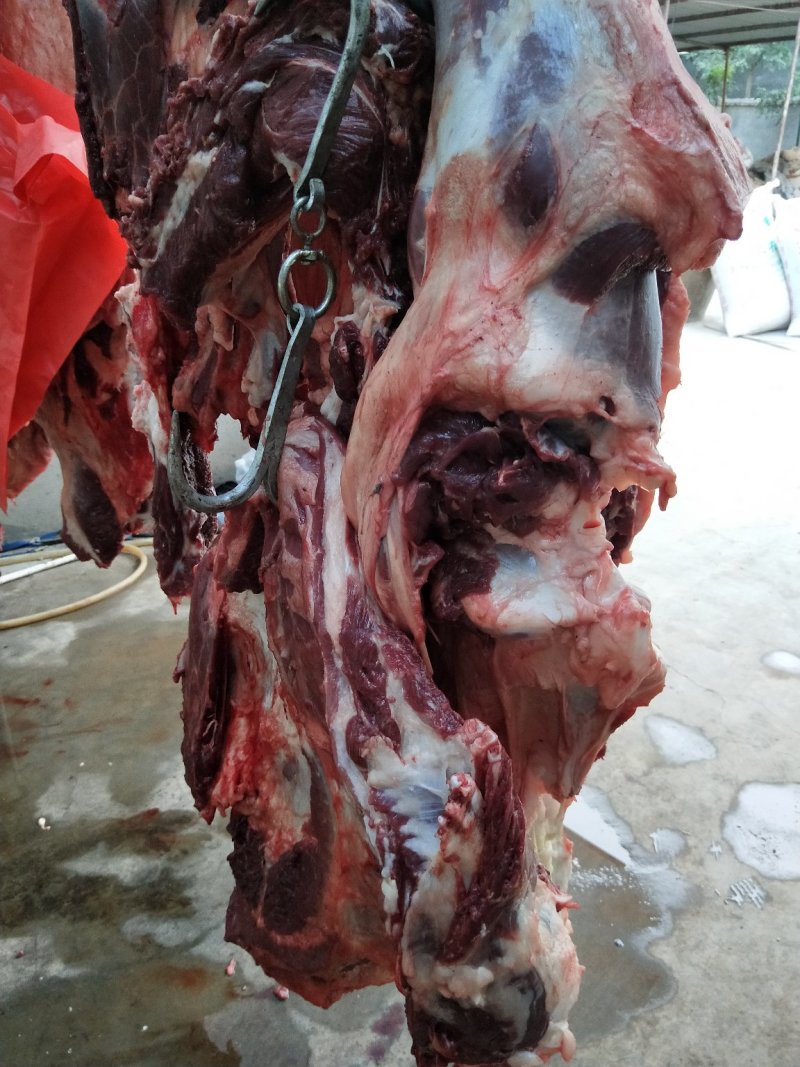 驴肉
