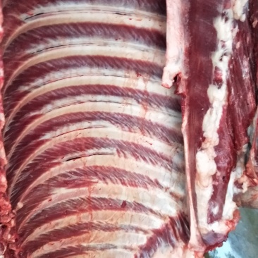 驴肉