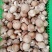 鲜香菇