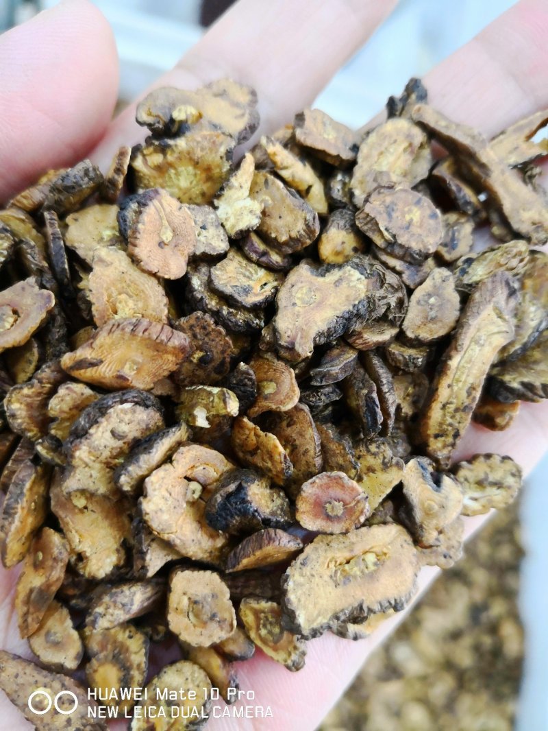 蒲公英根可泡水东北干货切片2斤起包邮