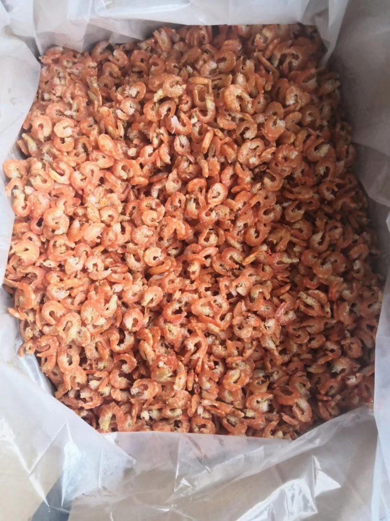 精品原干大个海米整箱