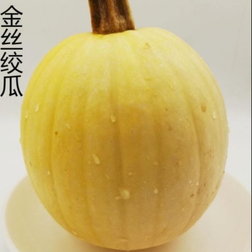 金丝搅瓜
