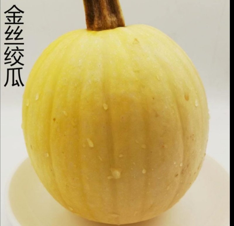 金丝搅瓜