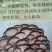 平菇菌种