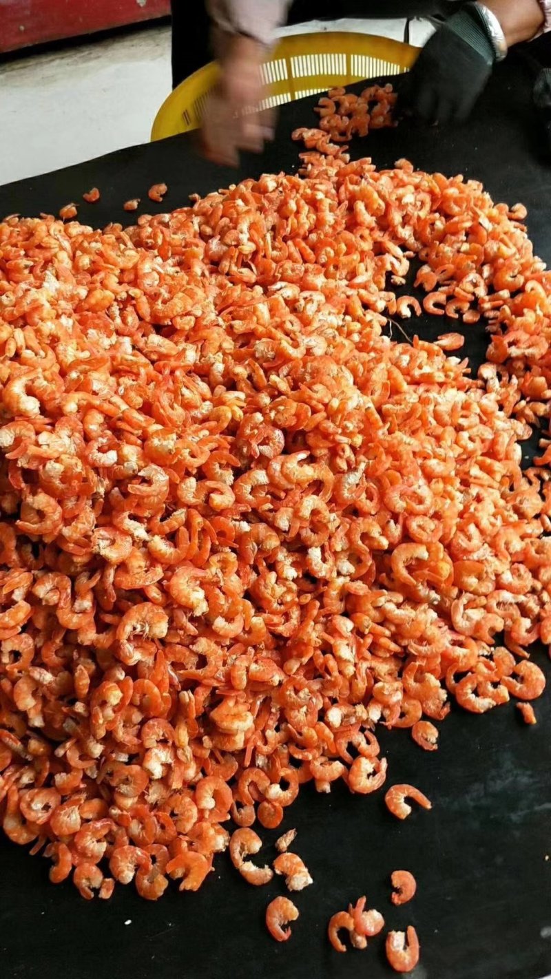海米，干虾仁对虾海米，来就有优惠对虾米