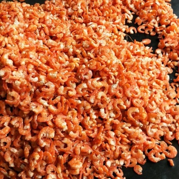 海米,干虾仁对虾海米,来就有优惠对虾米