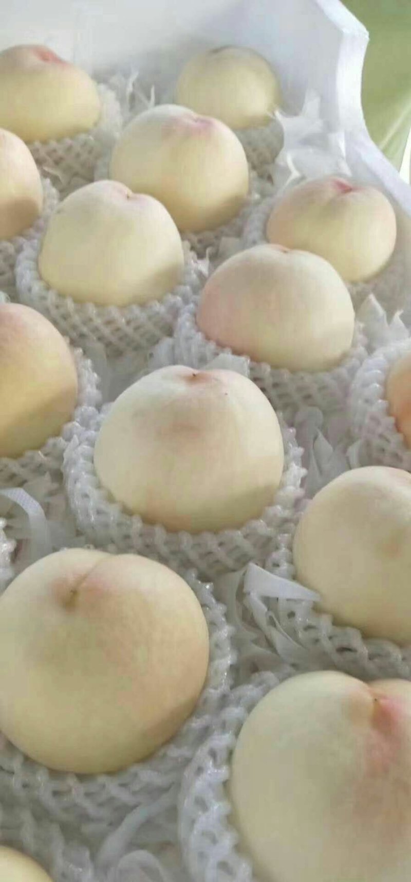 新沂水蜜桃降价出售了！供应充足，客商老板赶紧联系了！